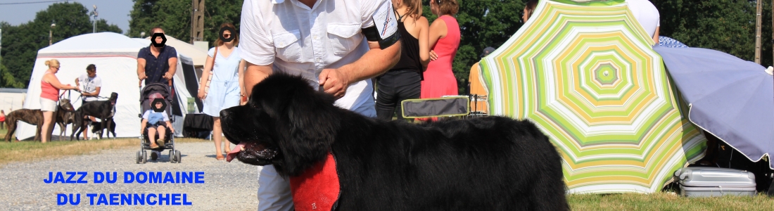 Expo CACS Châteaubriant